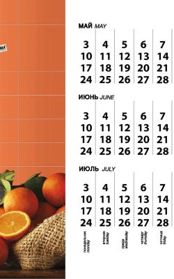 Квартальный календарь «ESTIMA»